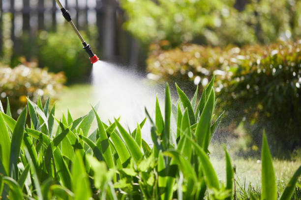 24/7 Emergency Wasp Removal experts in Woodlawn Beach, FL