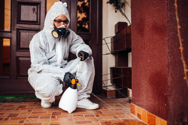 Reliable Wasp Removal contractor in Woodlawn Beach, FL by Show Me Pest Control