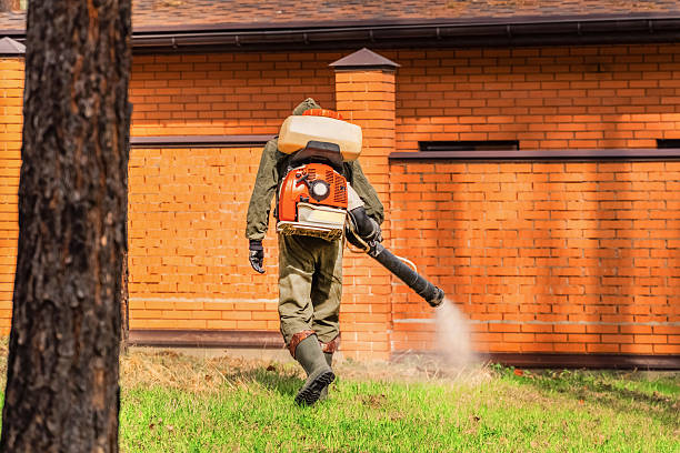 Top rated local Wasp Removal specialists in Woodlawn Beach, FL